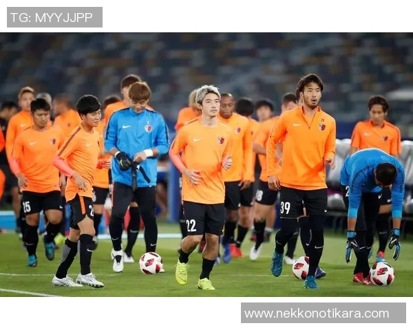 日职联官网观赛指南全方位解读让你轻松享受精彩赛事体验