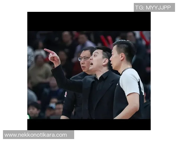 辽宁队发布选秀名单，球迷热议新赛季阵容配置